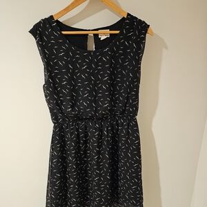 One Clothing Black Mini Dress with White Accents